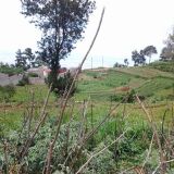 5 centiemes Terrain a vendre, Fort Jacques 21