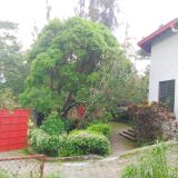 Grande maison a Vendre, Thomassin 32, 
