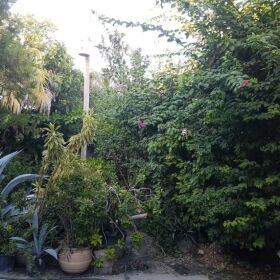 Maison résidentielle à vendre $400.000DUS